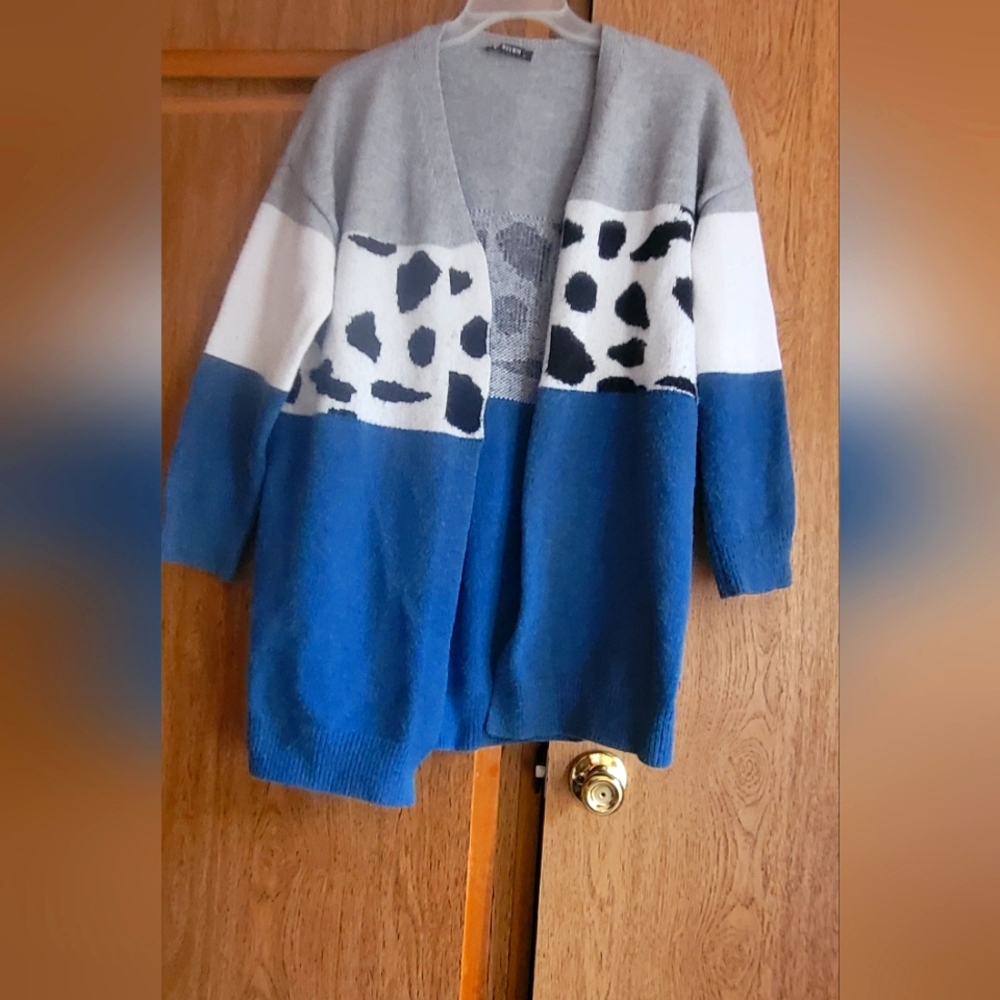 Stylish Blue and Gray Women's Sweater